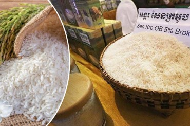 រយៈពេល 11 ខែឆ្នាំនេះកម្ពុជានាំចេញអង្គរបានជិត60ម៉ឺនតោន