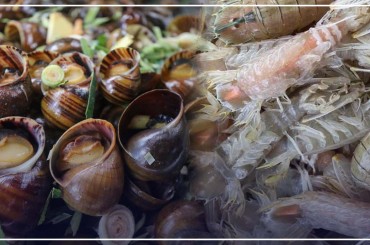ការនាំចេញ