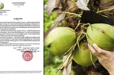 កម្ពុជា និងចិន ចុះហត្ថលេខាលើពិធីសារស្ដីពីលក្ខខណ្ឌសម្រាប់ការនាំចេញផ្លែដូងស្រស់ពីកម្ពុជាទៅកាន់ប្រទេសចិន