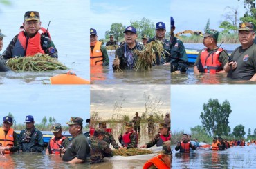 មេបញ្ជាការ កងពលតូចថ្មើរជើងលេខ៥១ ដឹកនាំកម្លាំងចុះជួយប្រមូលផលស្រូវ ជូនប្រជាពលរដ្ឋ ដែលរងគ្រោះដោយទឹកជំនន់