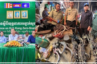 មន្ត្រីជំនាញពាក់ព័ន្ធចុះបង្ក្រាបបទល្មើសការលក់ដូរសាច់សត្វព្រៃខុសច្បាប់នៅក្នុងផ្សារបានលុង ខេត្តរតនគីរី