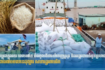 កម្ពុជាក្នុងរយៈពេល៧ខែ ចំណូលពីការនាំចេញស្រូវ និងអង្ករបានចំនួនប្រមាណ ជាង៧០០លានដុល្លារ សហរដ្ឋអាមេរិក