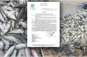 រដ្ឋបាលខេត្តកោះកុង ប្រកាសបិទការនេសាទ ត្រីកាម៉ុង រយៈពេល៤ខែ
