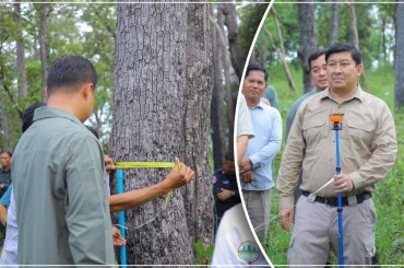 ប្រទេសមានសិទ្ធិទទួលផលពីគម្រោងរេដបូក(REDD+) ជាប្រទេសដែលប្រើប្រាស់ព្រៃឈើរបស់ខ្លួនប្រកបដោយនិរន្តរភាព