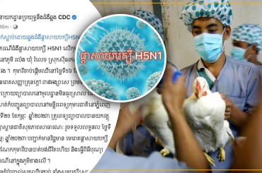 កុមារីម្នាក់ស្លាប់ដោយឆ្លងជំងឺផ្តាសាយបក្សីH5N1