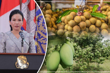 ខេត្តប៉ៃលិន កំពុងទទួលការវិនិយោគ លើការសម្ងួតផ្លែស្វាយ និងមៀន
