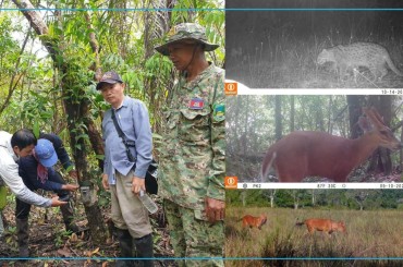 សត្វព្រៃកម្រៗចំនួន២០ប្រភេទបង្ហាញវត្តមាននៅក្នុងតំបន់អភិរក្សខេត្តកោះកុង