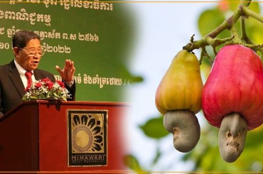សន្និបាត កំណើតដំបូងរបស់សហព័ន្ធស្វាយចន្ទីកម្ពុជាបានប្រព្រឹត្តទៅដោយអស់រយៈពេលមួយថ្ងៃពេញក្រោមអធិបតីភាពថ្នាក់ដឹកនាំជាន់ខ្ពស់ក្រសួងពាណិជ្ជកម្ម