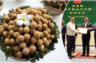 ក្រសួងកសិកម្មរុក្ខាប្រមាញ់និងនេសាទរៀបចំពិធីសម្ពោធជាផ្លូវការការនាំផ្លែមៀនស្រស់ទៅកាន់ ទីផ្សារប្រទេសចិន